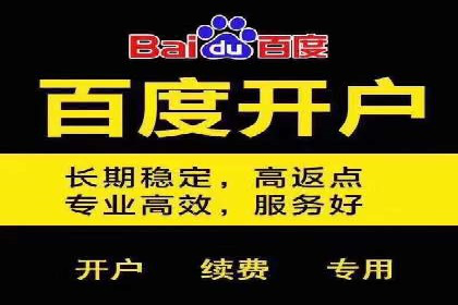 竞价托管成功案例：提升广告投放效果